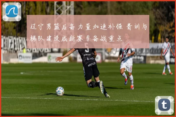 辽宁男篮后备力量加速补强 青训与梯队建设成新赛季备战重点